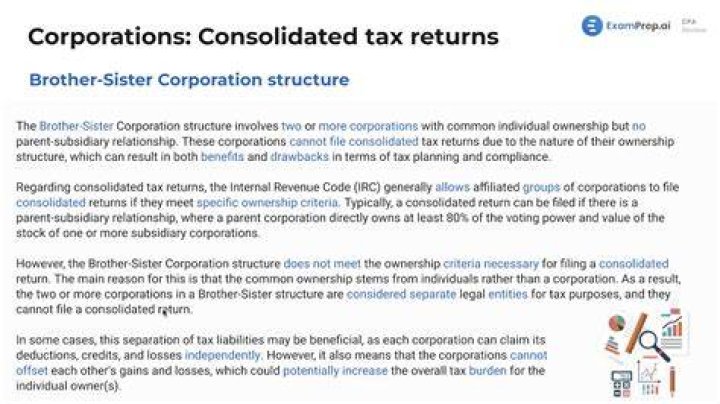 Are corporate tax filings public?