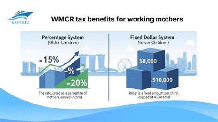 Are there any tax relief for working mothers?