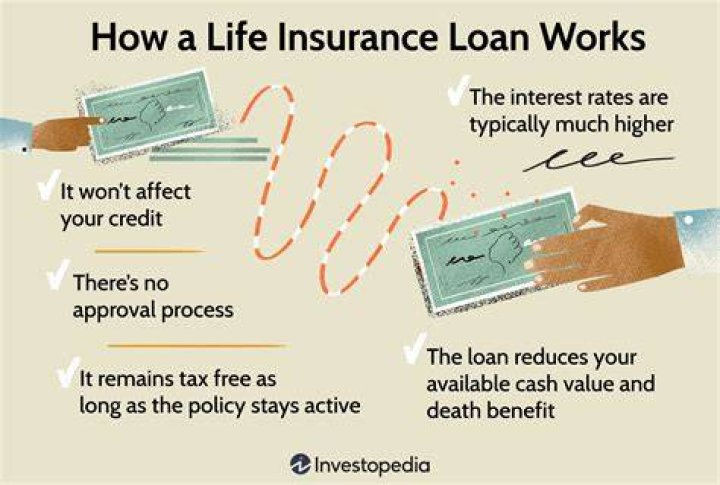 Can a life insurance policy gain interest?