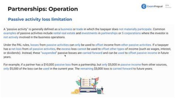 Can a partnership have a loss?