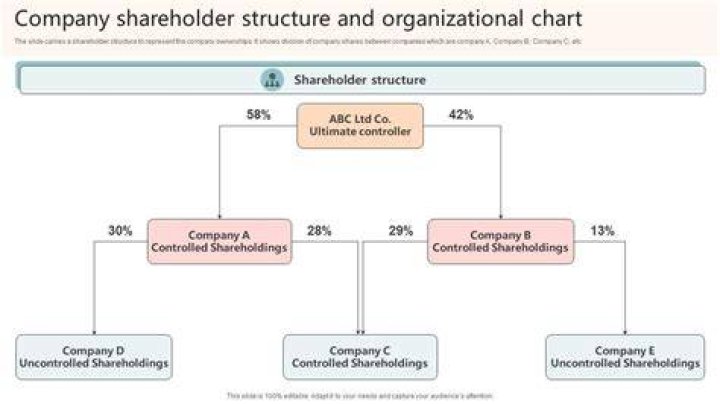 Can a professional corporation have multiple shareholders?
