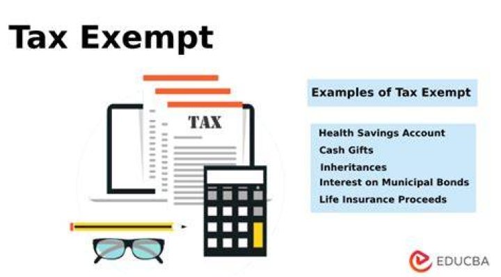 Can an individual be tax exempt?