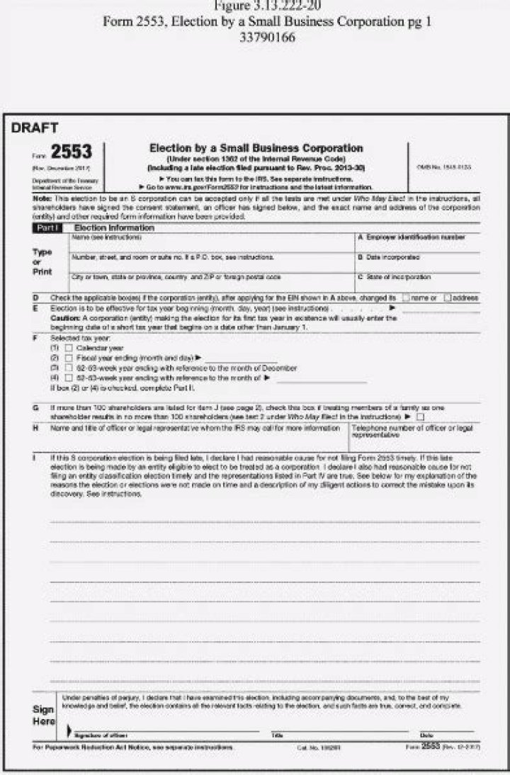 Can an LLC File 2553?