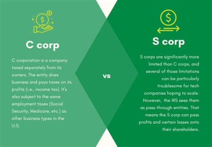 Can an S Corp do business internationally?