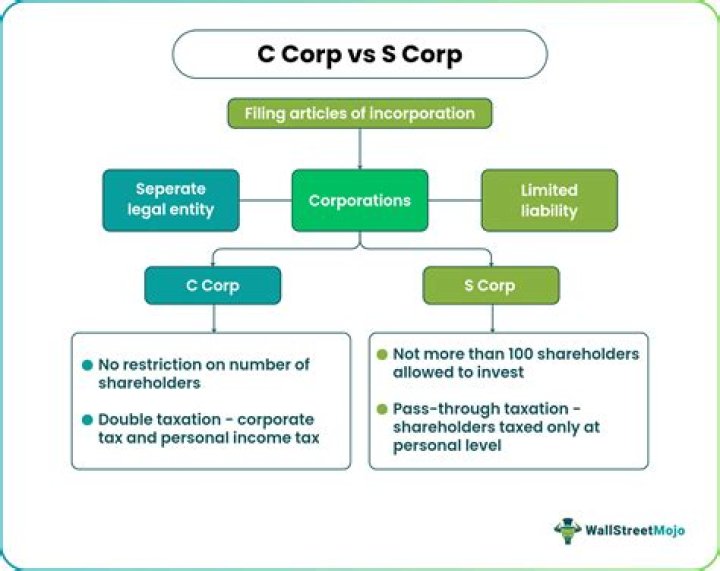 Can an S Corp report a loss?