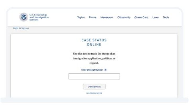 Can I check my filing status online?
