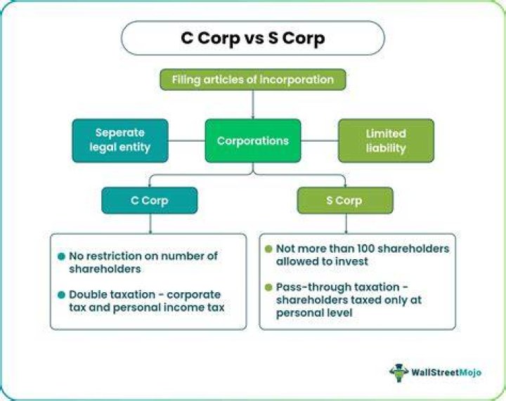 Can I elect to be taxed as an S Corp?