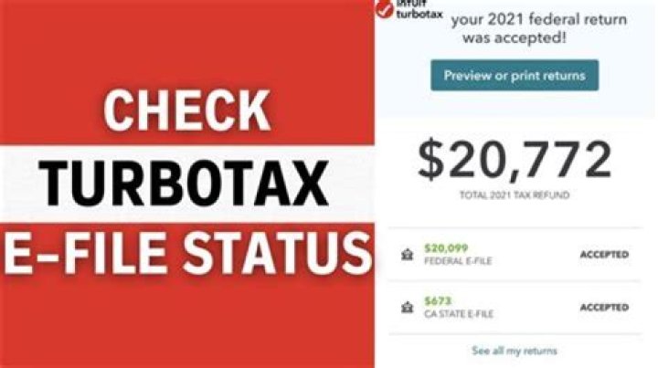 Can I just download TurboTax?