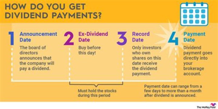 Can I pay my partner dividends?