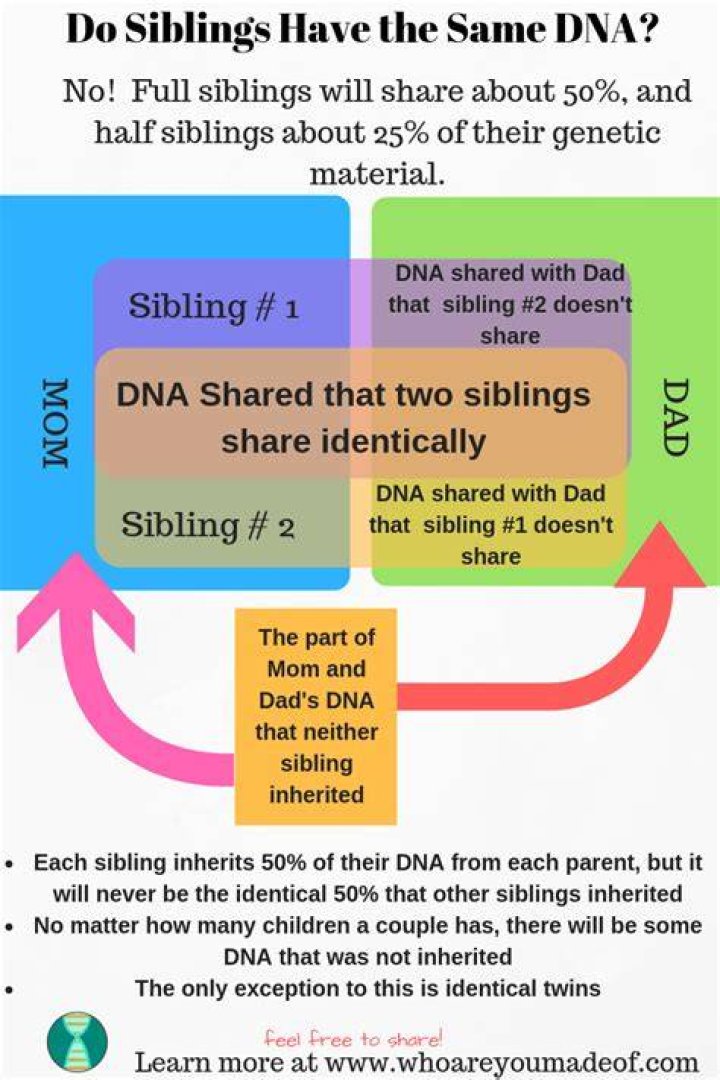 Can siblings share a mortgage?