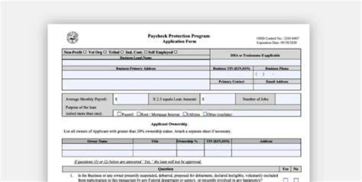 Can you submit your PPP application online?