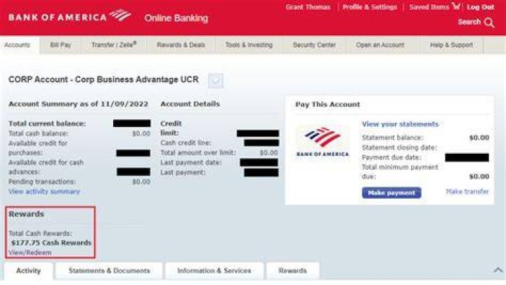 Does Bank of America do business accounts?