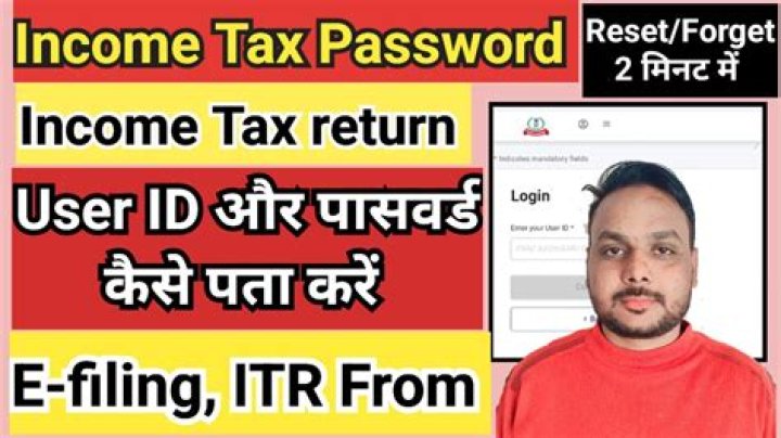 How can I change my income tax ID password?