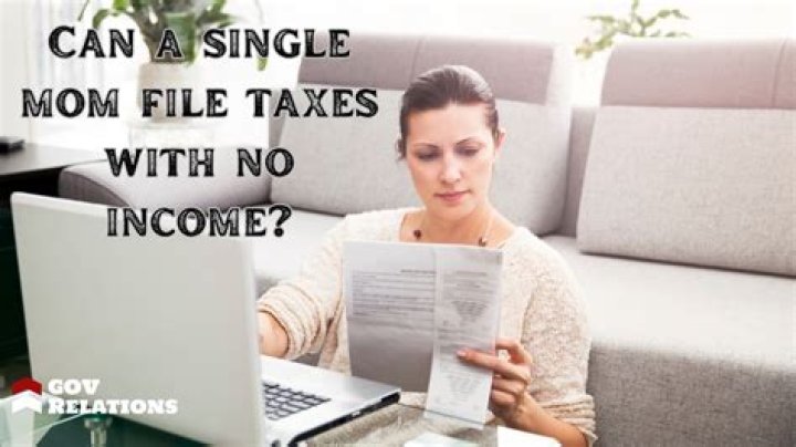 How can I file my taxes with no income?