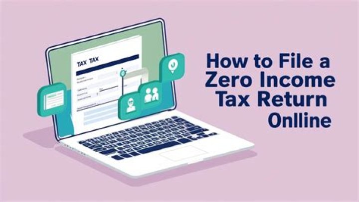 How do I file a tax return with no income?