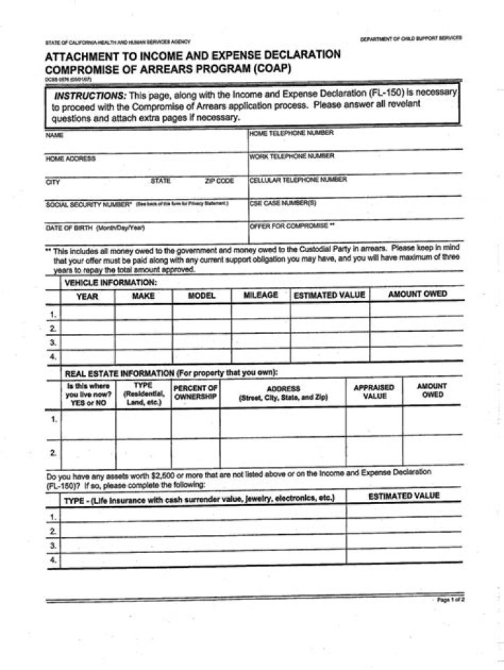 How do I fill out Income and expense declaration?