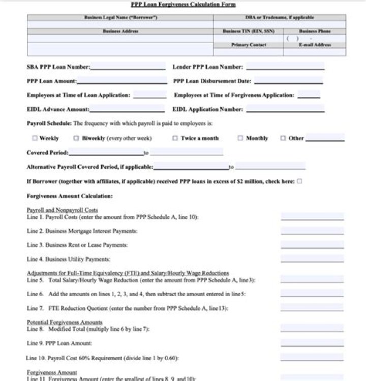 How do I fill out the PPP loan forgiveness application?