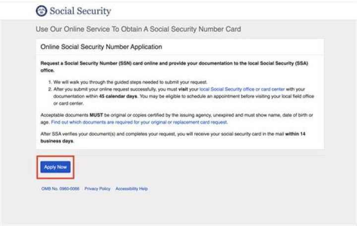 How do I get my Social Security back in Germany?