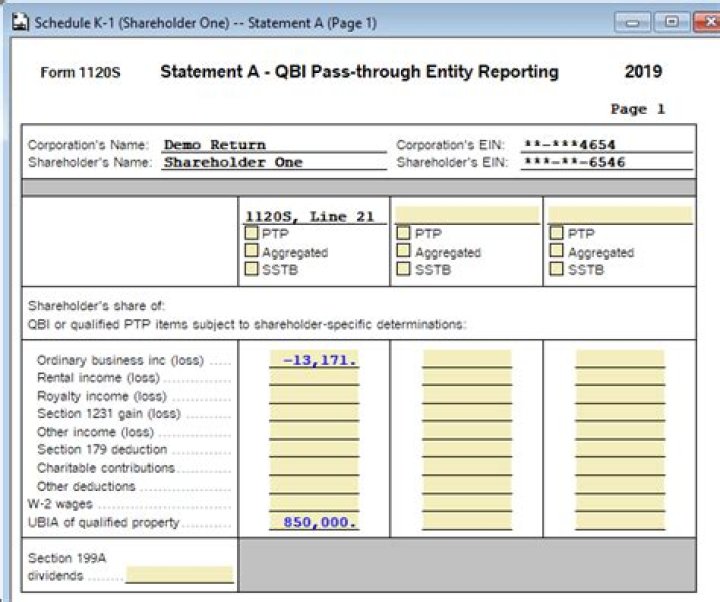 How do I report a Qbi on a K-1?