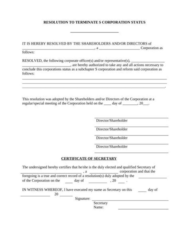 How do I terminate an S corporation?