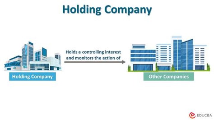 How is a holding company managed?