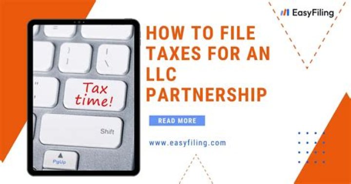 How to file taxes for a Partnership LLC?