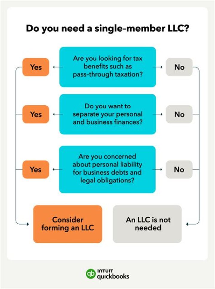 Is a member of an LLC an owner?