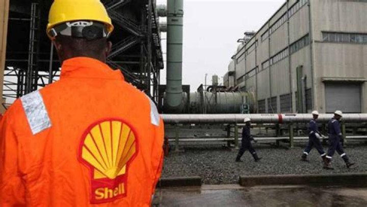 Is it good to invest in a shell company?