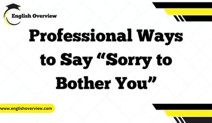 Is it sorry to trouble you again or sorry to Bother you Again?