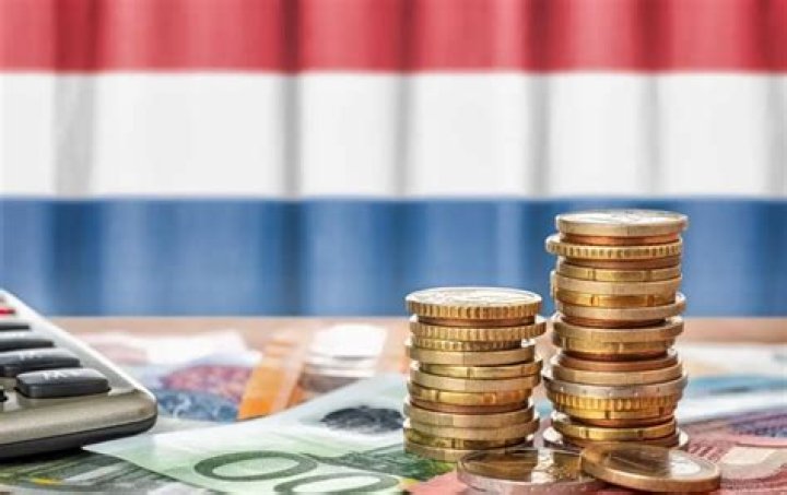 Is tax declaration mandatory in the Netherlands?