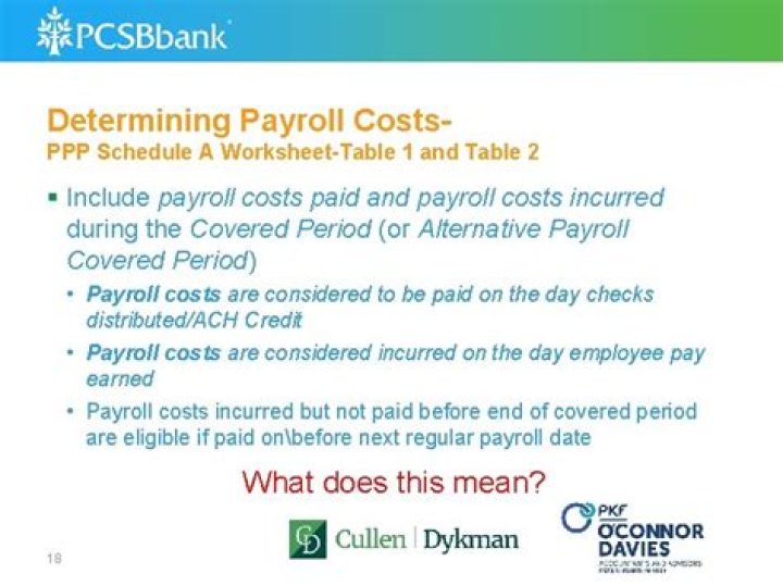 What are considered payroll costs for PPP?