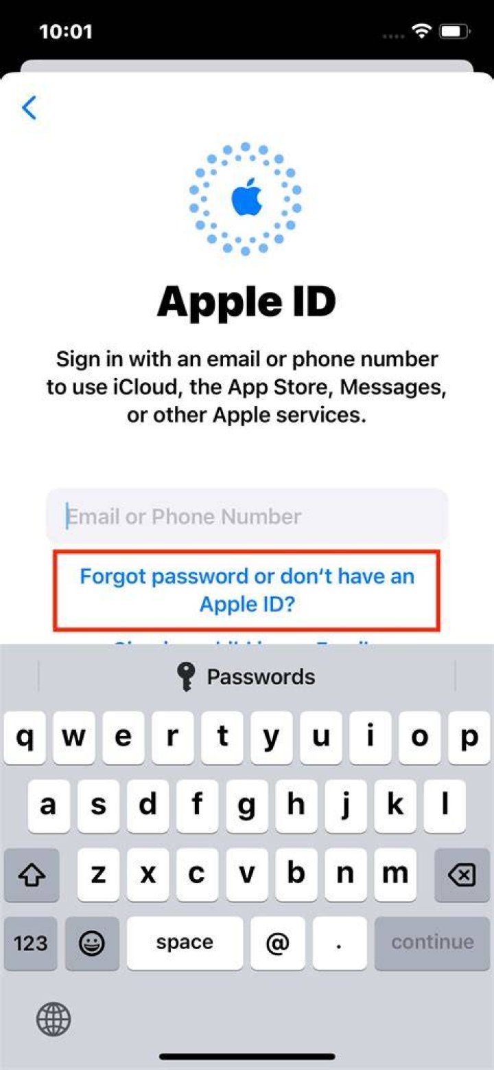 What do I do if I forgot my Apple ID and email?