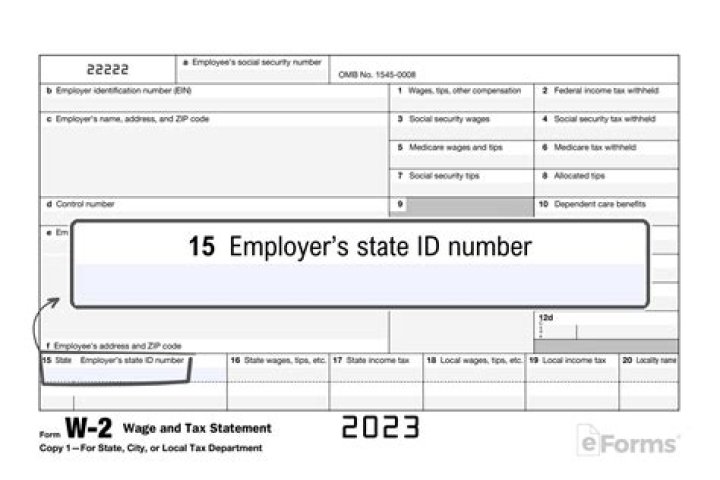 What do I do if my employer lies on my W-2?