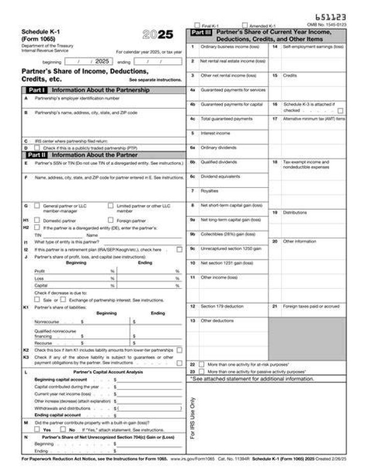 What do I need to know about the K-1 form?