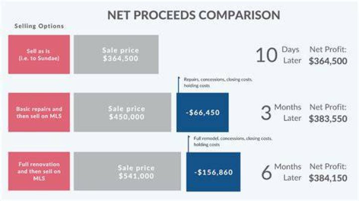 What do you mean by net proceeds from a sale?
