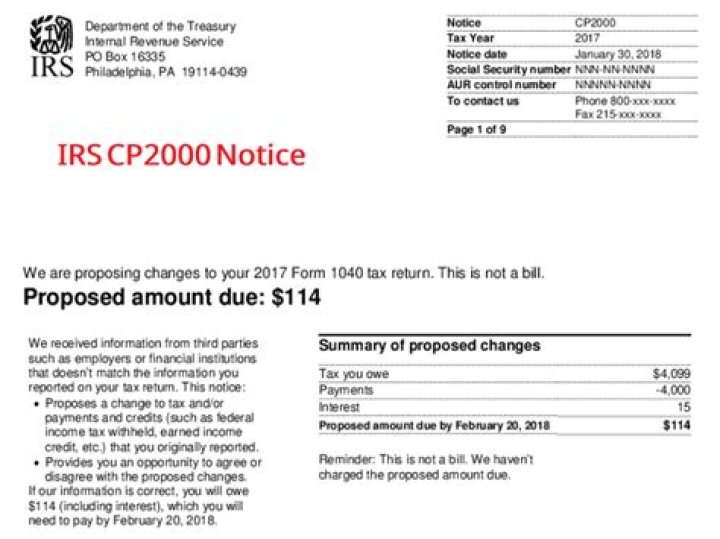 What does a CP2000 letter from the IRS mean?