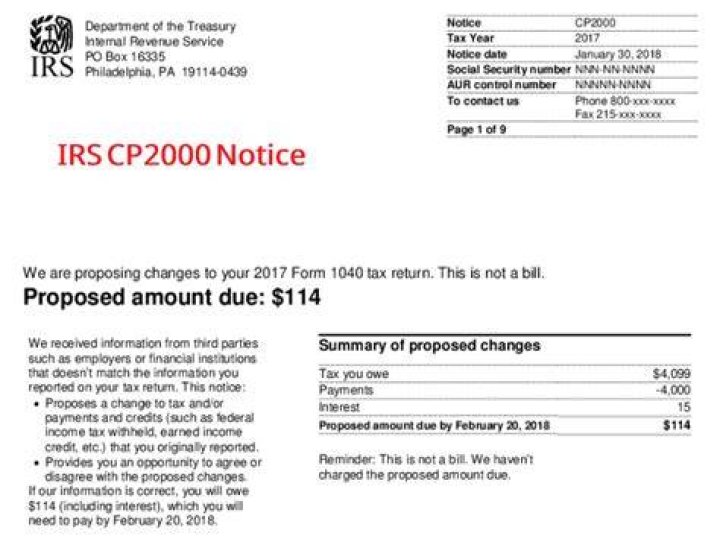 What does a CP2000 notice show on a tax return?