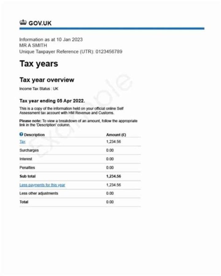 What does current tax year mean?
