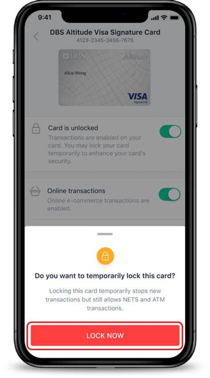 What does it mean when it says your card was temporarily authorized?