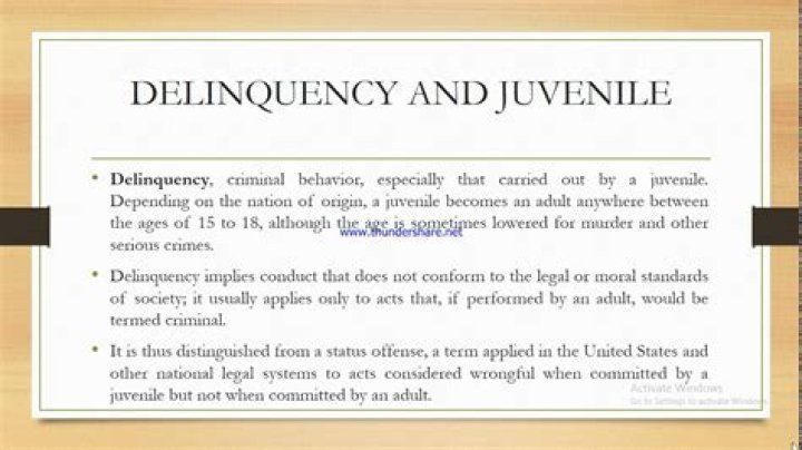 What does prior year delinquency mean?