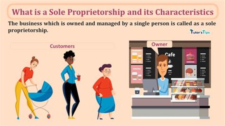What does sole mean in business?