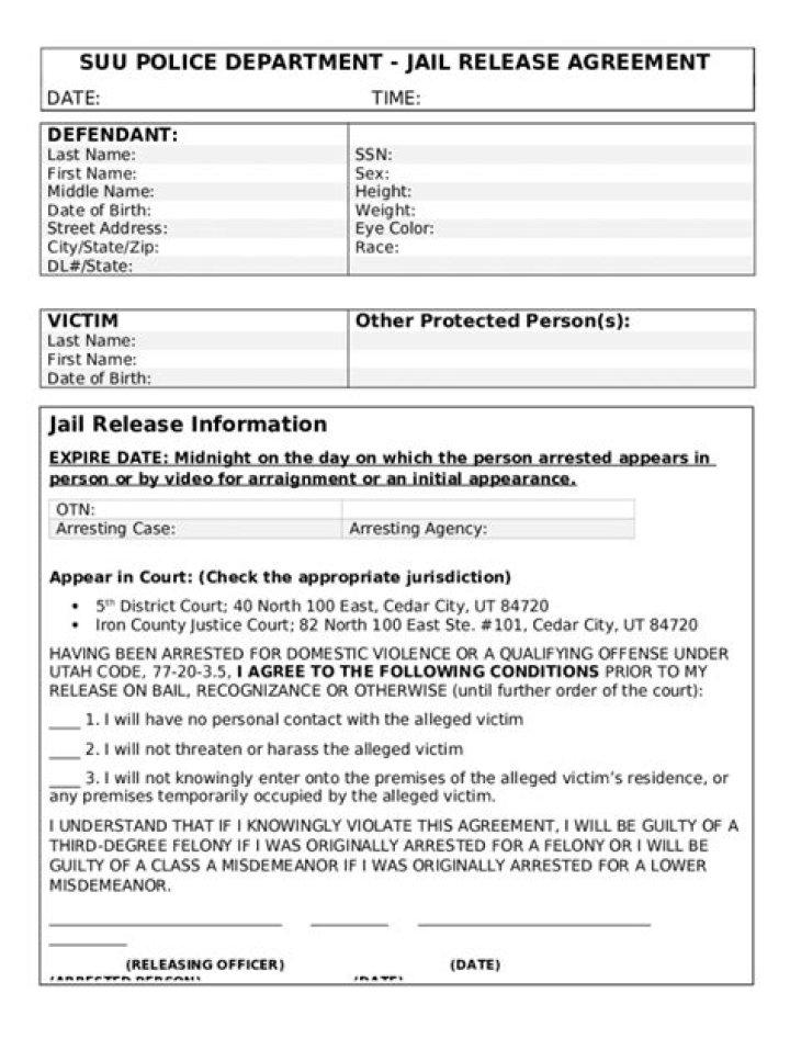 What does work release mean in jail?