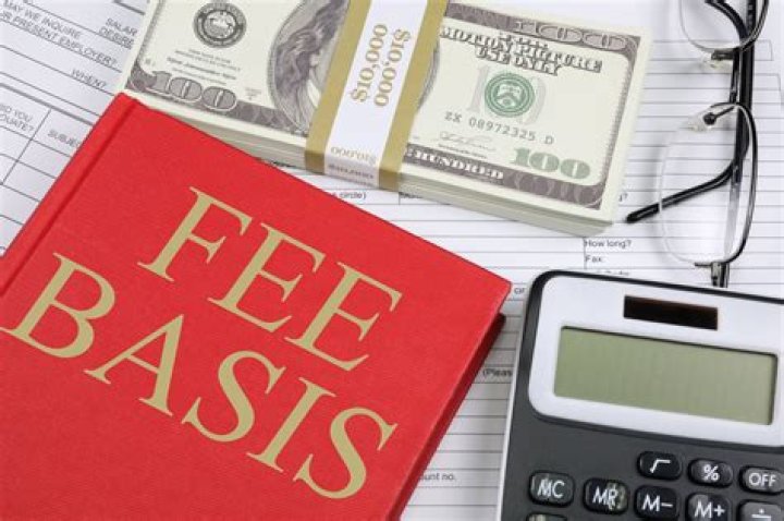 What is a fee basis local government official?