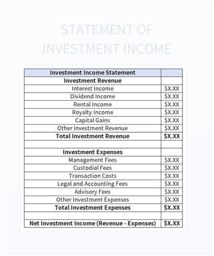 What is investment statement?