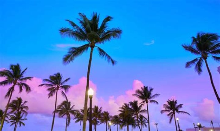 What is Miami famous for?