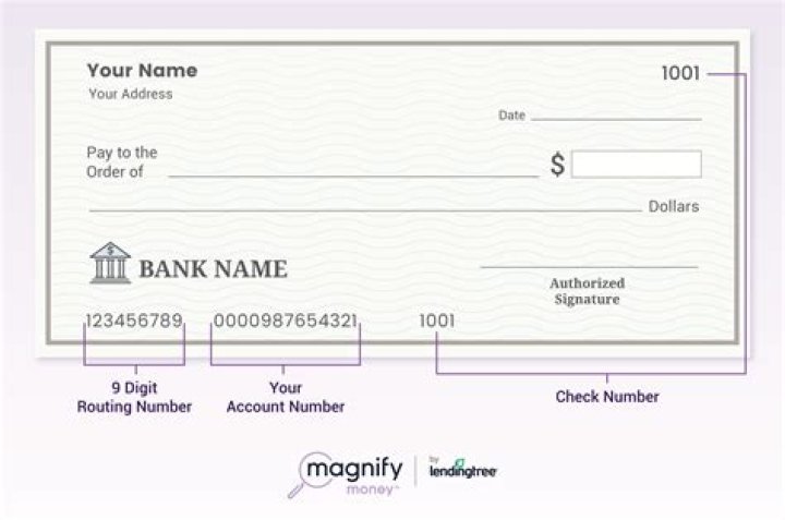 What is the account number on the stimulus check?
