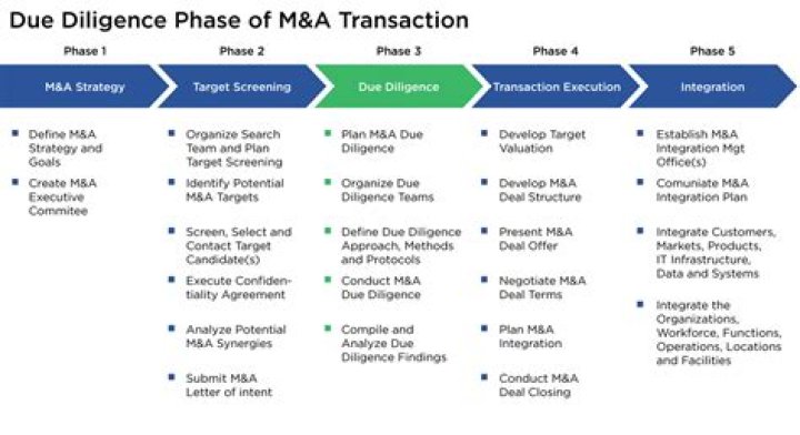 What is the due diligence stage?