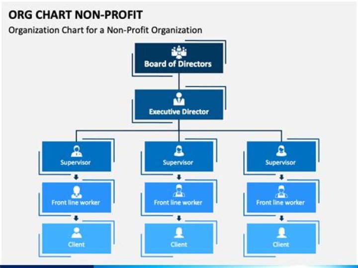What is the highest position in a non profit organization?