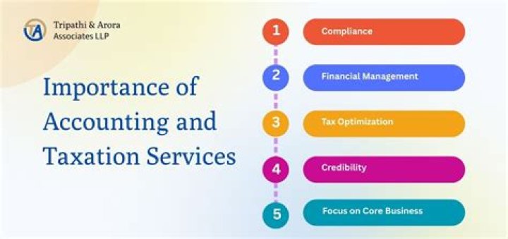 What is the importance of business taxation?