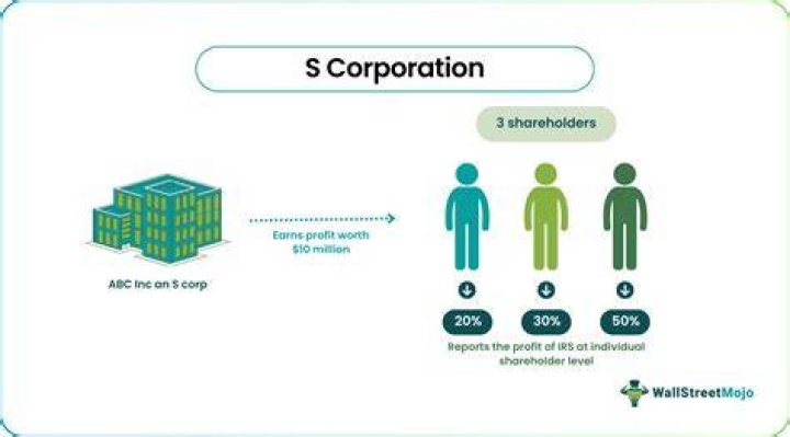 What makes an S corporation A S corporation?